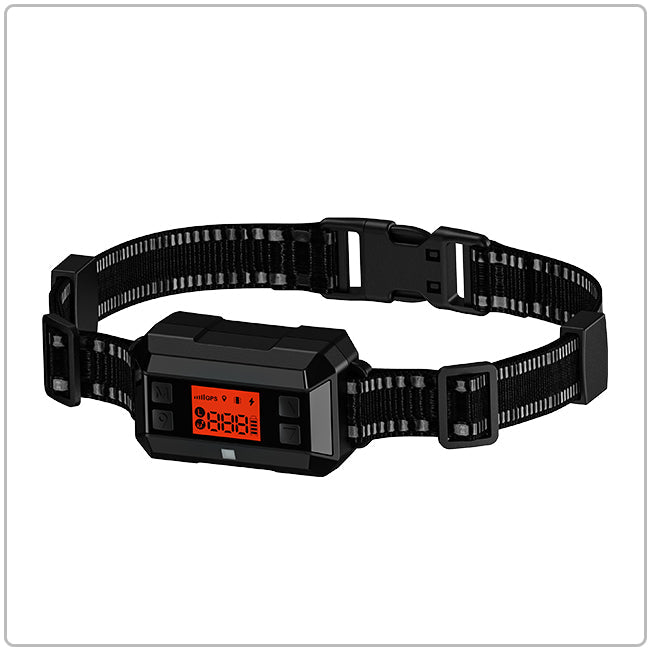 Gps perimeter best sale dog collar