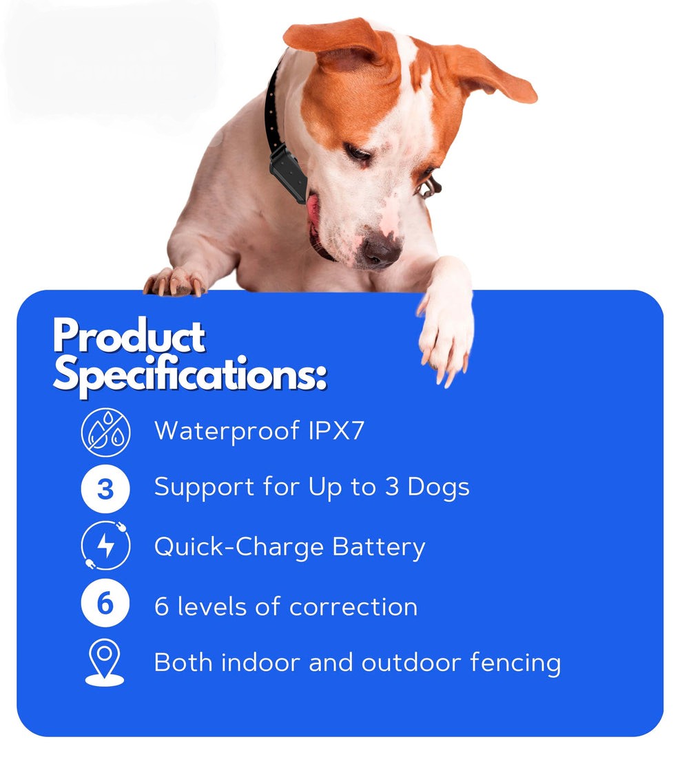 Small Area Wireless System | F910 Plus for Small, Medium and Large dogs