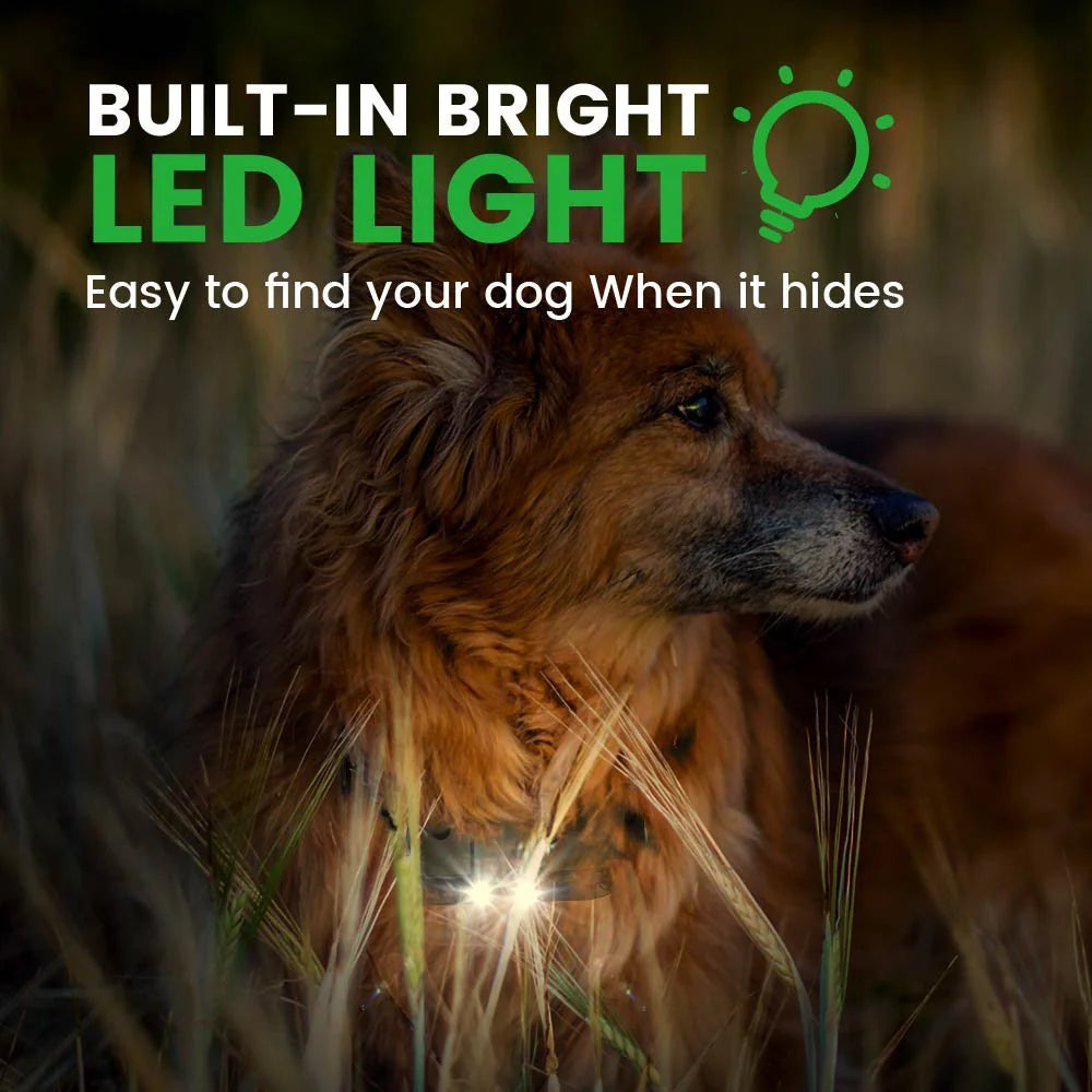 Remote Training Collar | for All Size Dogs