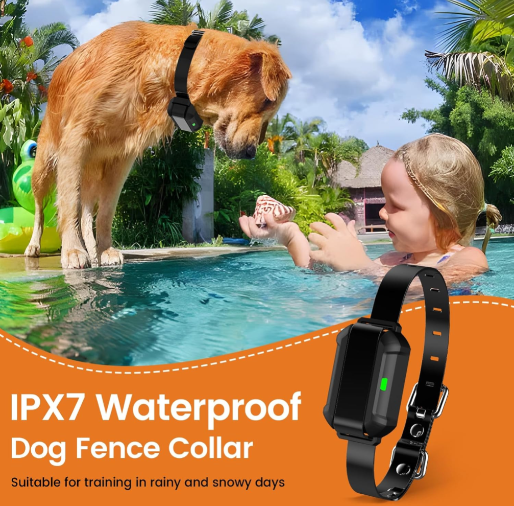 Small Area Wireless System | F910 Plus for Small, Medium and Large dogs