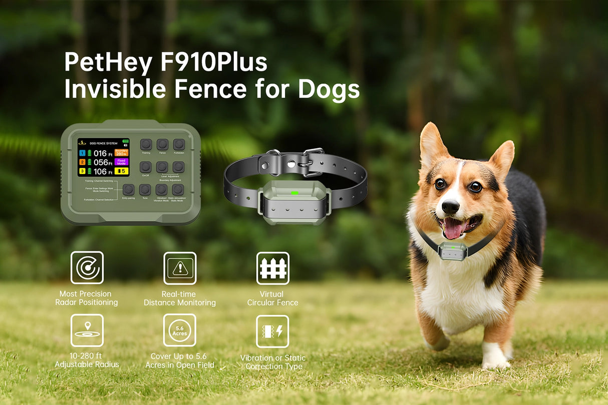 Small Area Wireless System | F910 Plus for Small, Medium and Large dogs