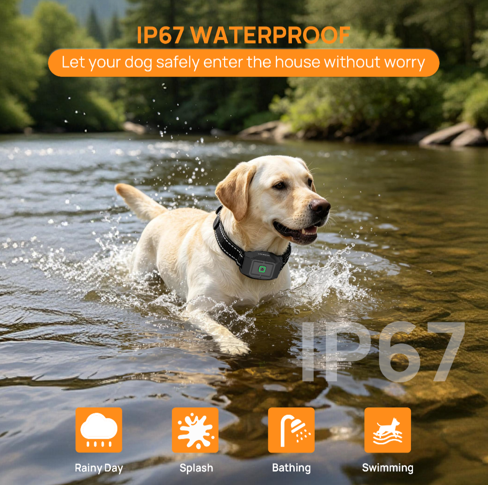 Customizable boundary GPS F860 with App | For Medium and Large dogs