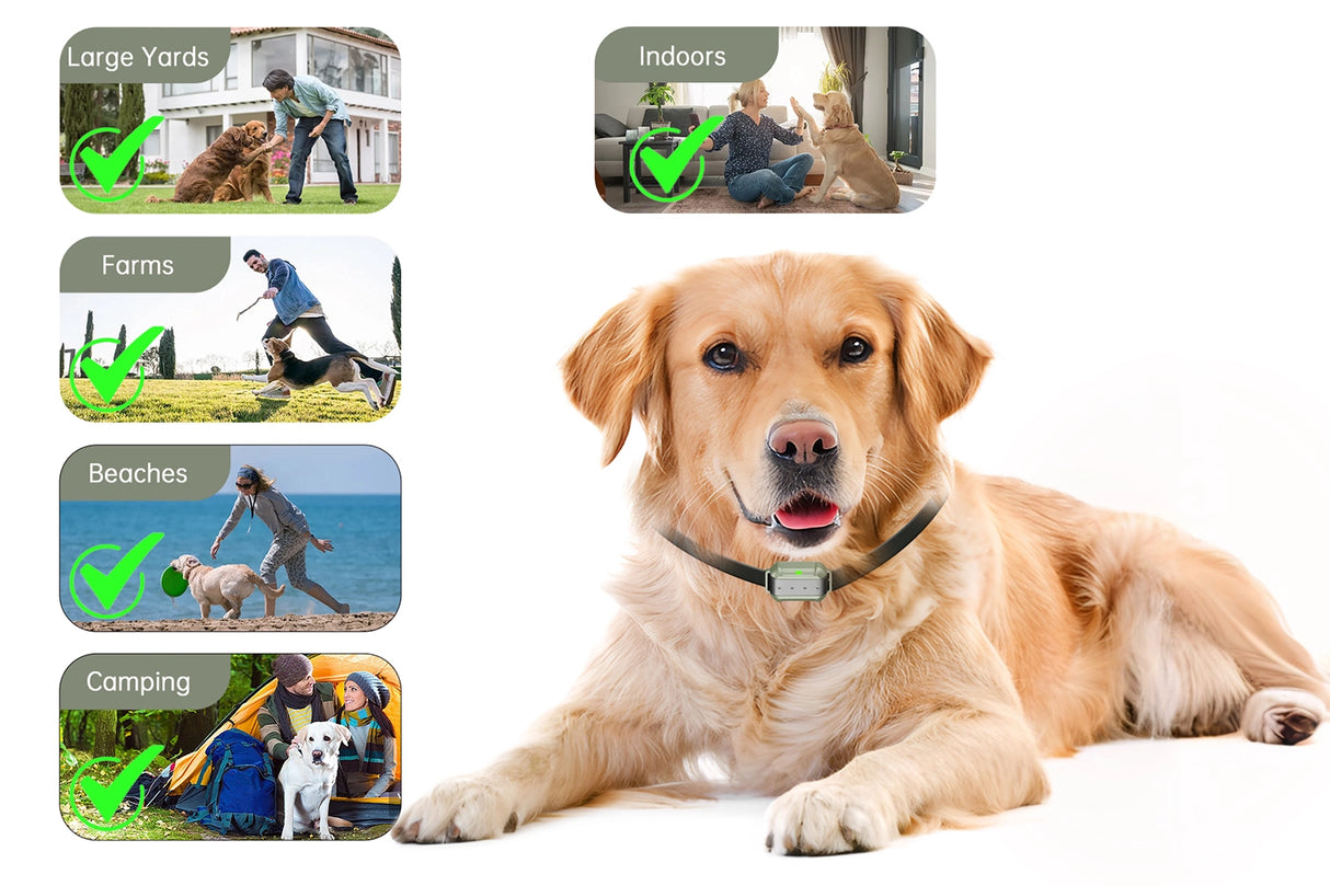 Small Area Wireless System | F910 Plus for Small, Medium and Large dogs