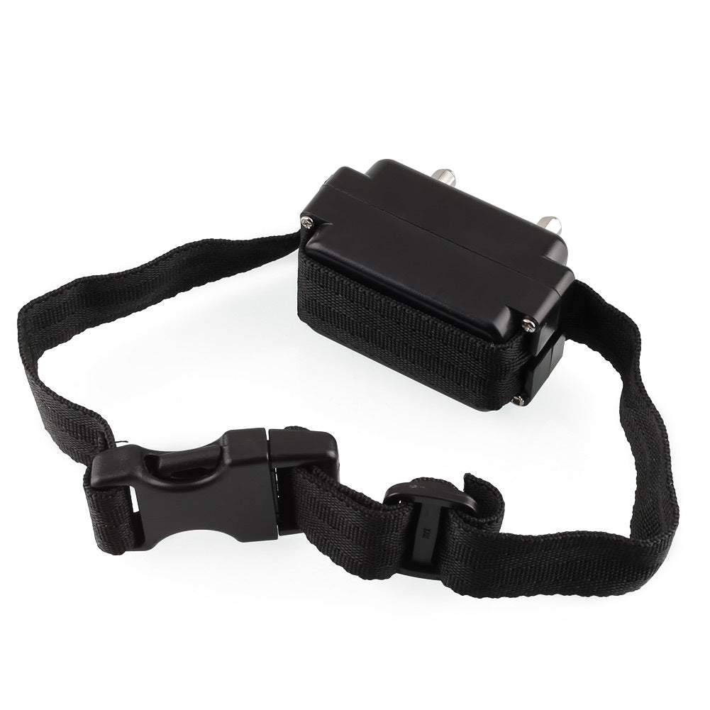 Innotek replacement collar on sale strap