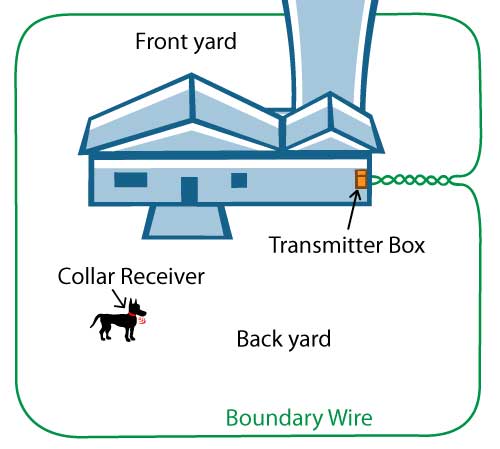 Dog fence layout
