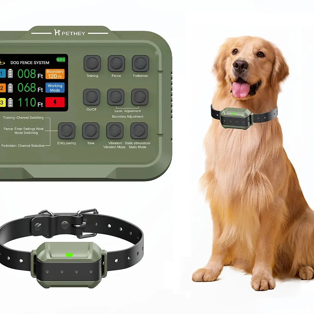 Small Area Wireless System | F910 Plus for Small, Medium and Large dogs