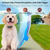 Anti Bark Training Collar