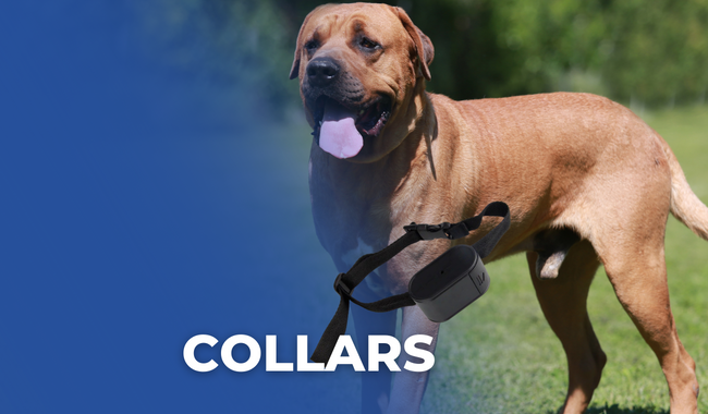 Western Pet Products: Radio Dog Fences and Collars in Ireland