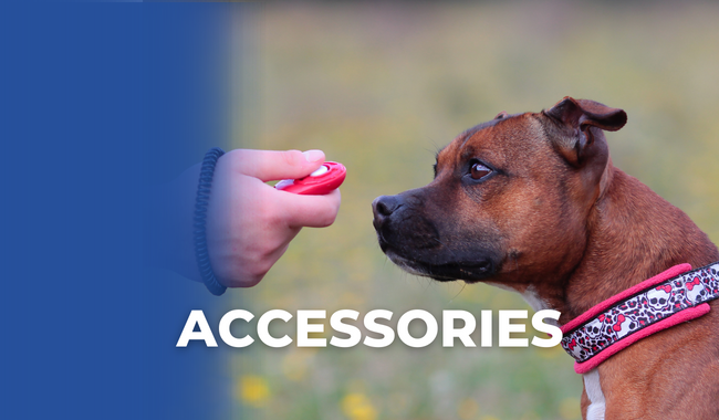 Radio collar for 2024 dogs