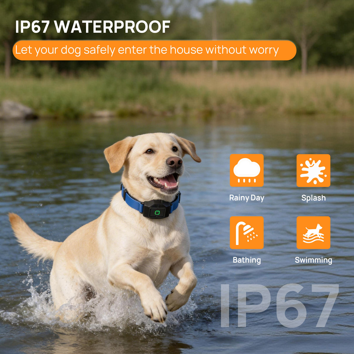 Customizable boundary GPS F860 with App | For Medium and Large dogs