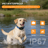 Customizable boundary GPS F860 with App | For Medium and Large dogs