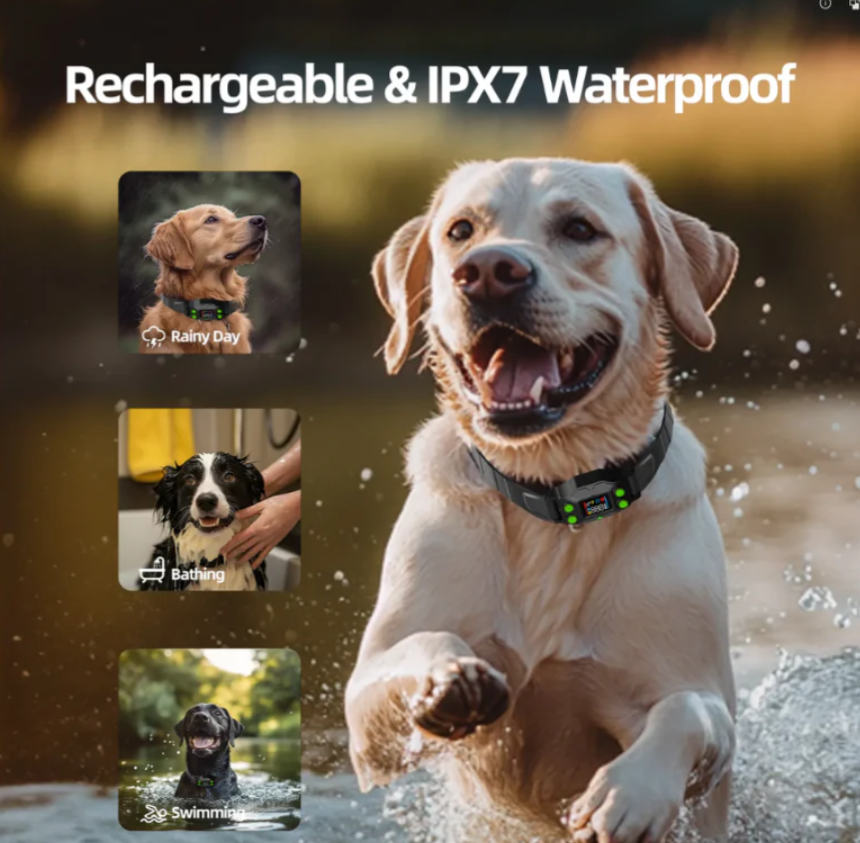 Gps Dog Fence F830+ | For Medium and Large dogs