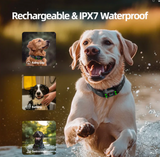 Gps Dog Fence F830+ | For Medium and Large dogs