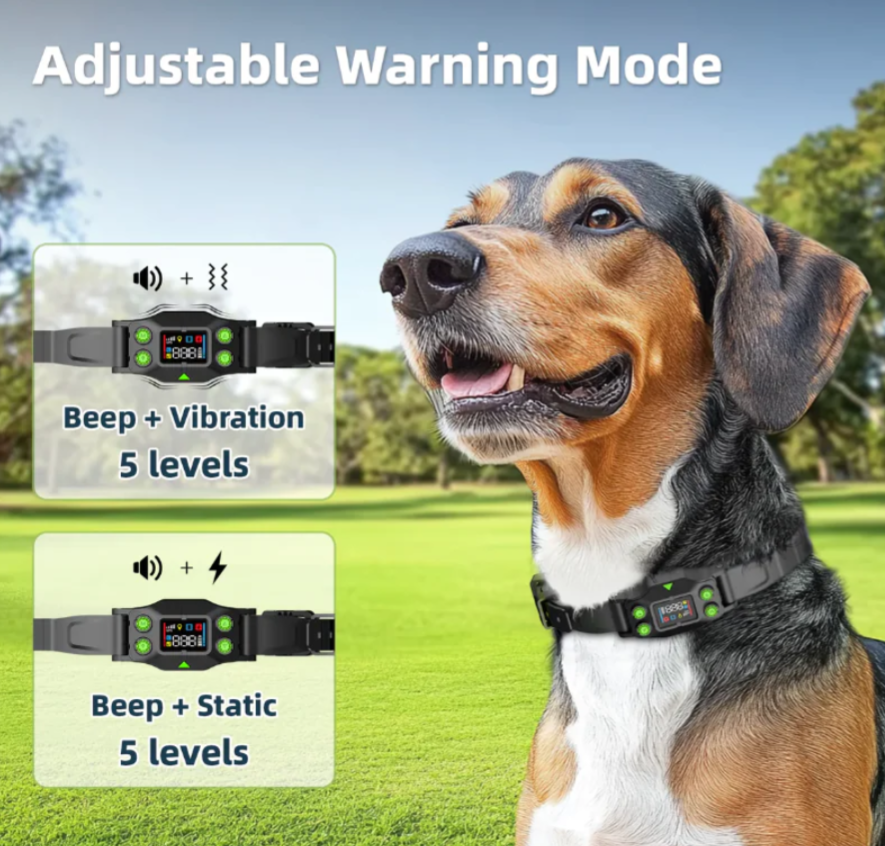 Gps Dog Fence F830+ | For Medium and Large dogs