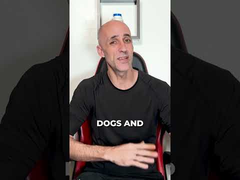 Small Area Wireless System | F910 Plus for Small, Medium and Large dogs