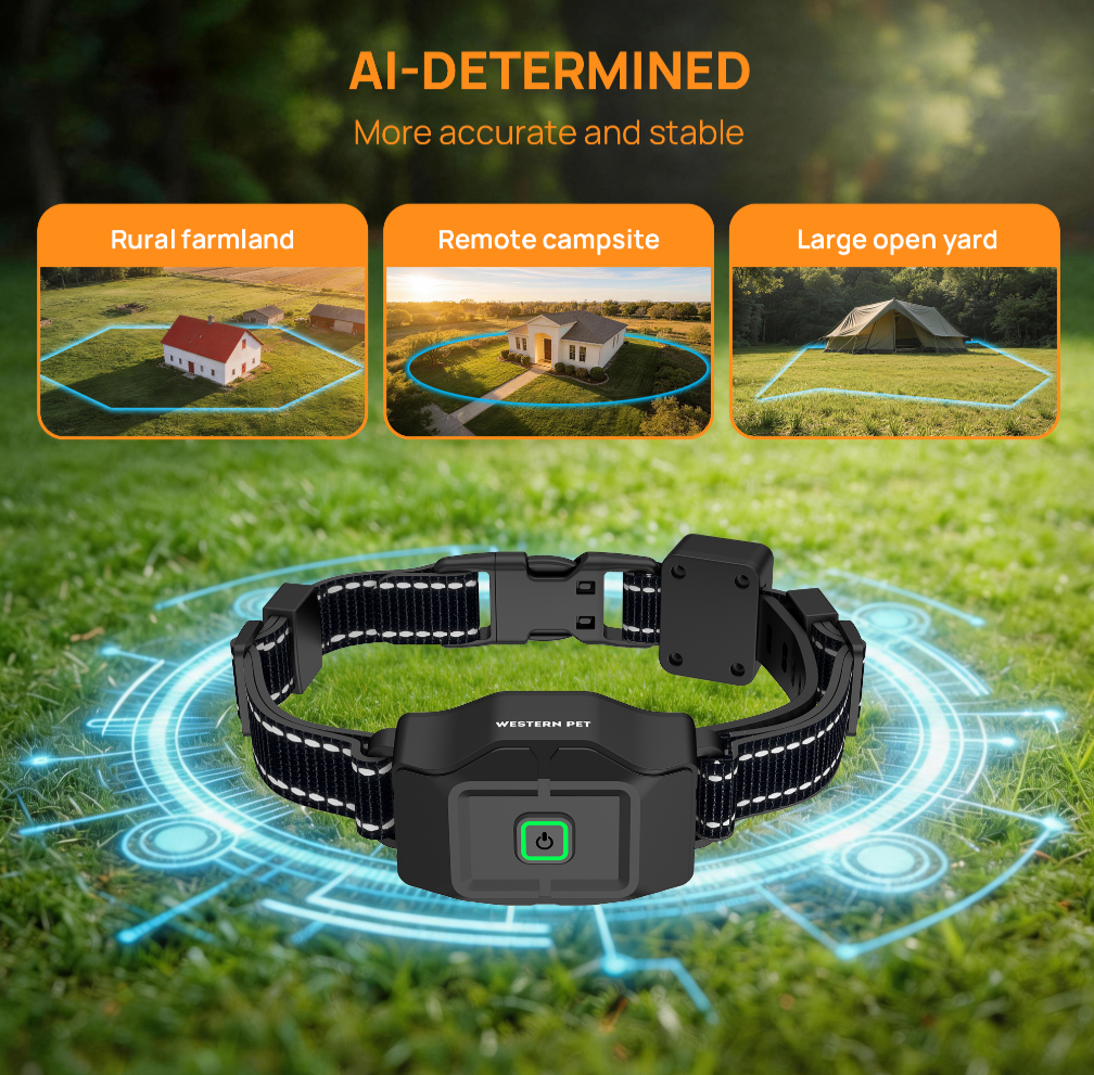 Customizable boundary GPS F860 with App | For Medium and Large dogs