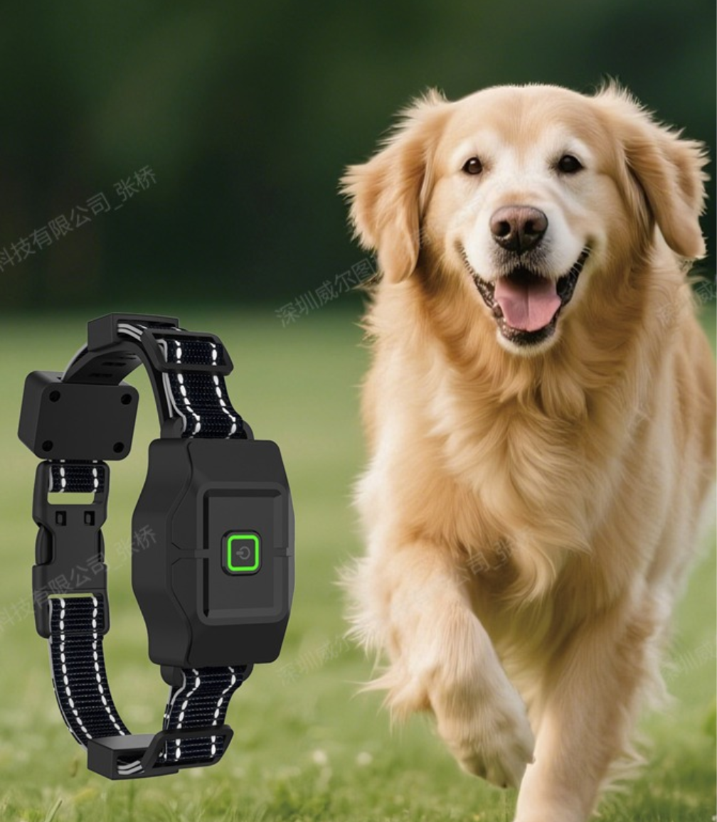 Customizable boundary GPS F860 with App | For Medium and Large dogs