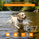Customizable boundary GPS F860 with App | For Medium and Large dogs