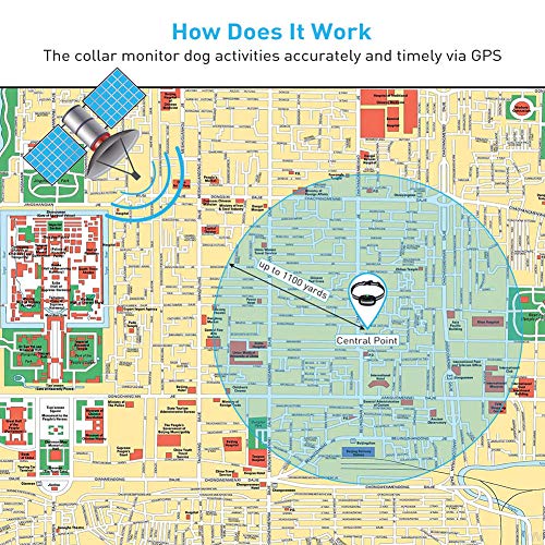 GPS dog fence system
