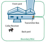 Dog fence layout 