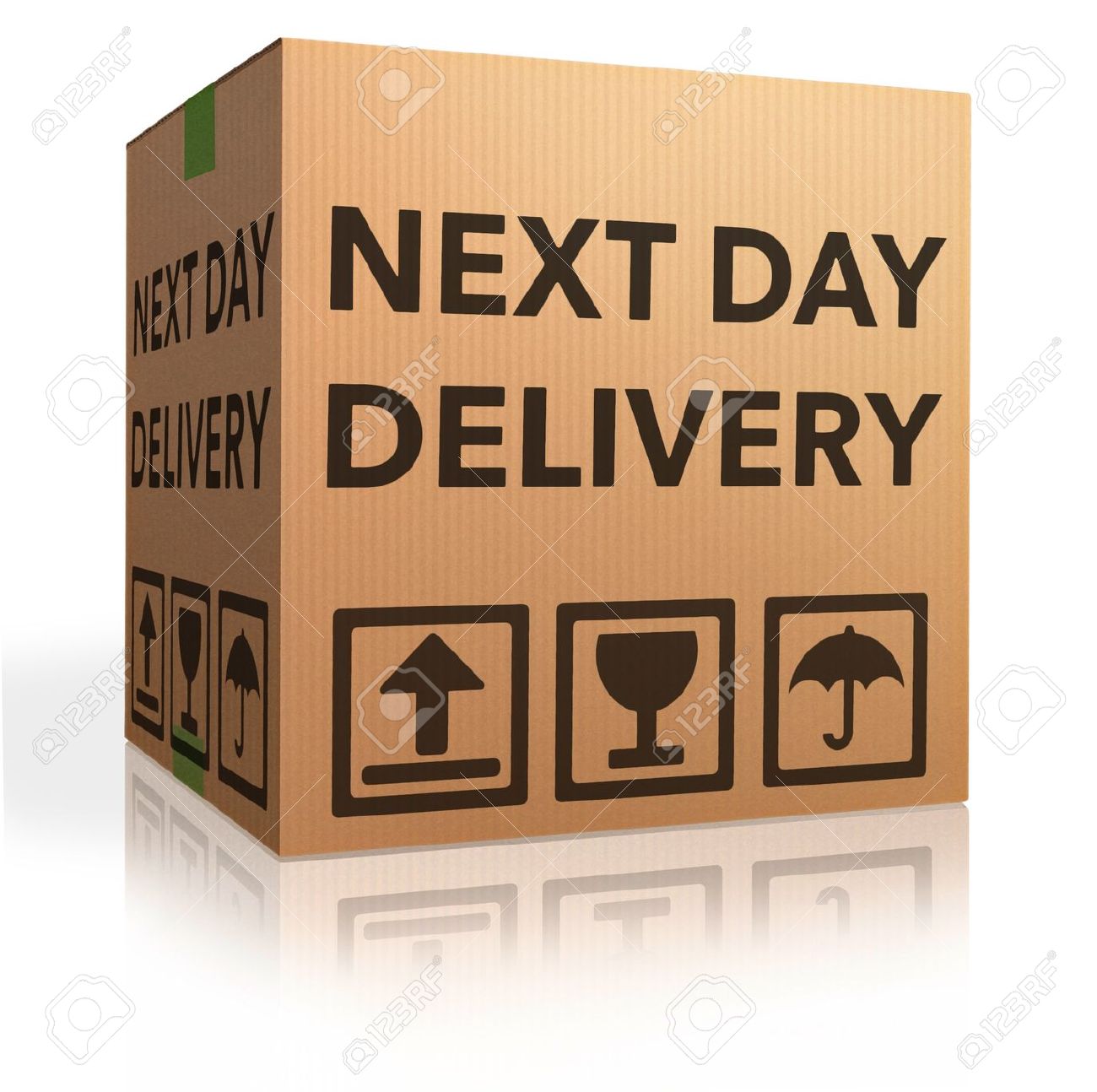 Kd661 Collar for Wireless Dog Fence KD661C and kd661 Western Pet Products